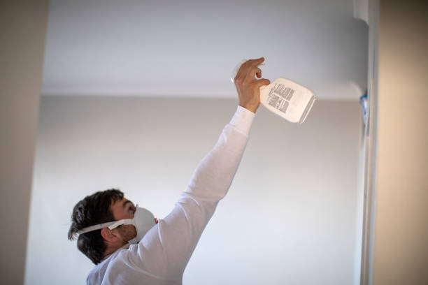 Best Mold Removal Near Me  in Laymantown, VA