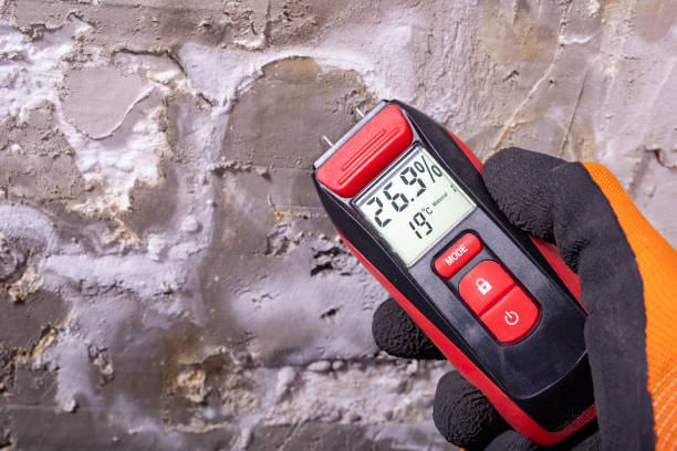 Best Commercial Mold Removal  in Laymantown, VA