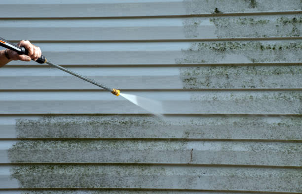 Best Office Mold Removal Services  in Laymantown, VA