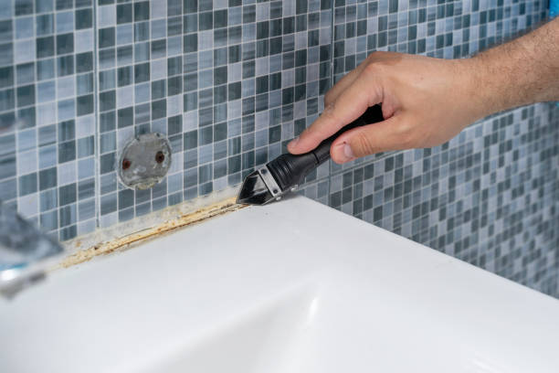 Best Mold Cleaning Services  in Laymantown, VA